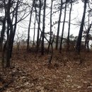 소로3-186 이미지