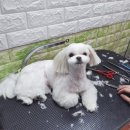 매너짱 이미지