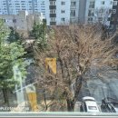 크로바아파트 | 대전 둔산동 크로바아파트 베란다창 후기