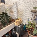 11620-전10-44-4 | 70일 중남미 여행 D+44, 살타 브런치카페 추천/살타에서 멘도사로 이동/살타 공항 라운지 후기