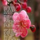 HR부동산중개 이미지