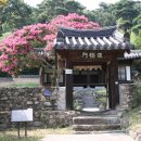 매계조위신도비 이미지