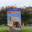 배롱나무길 이미지