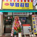 부엉김밥 이미지