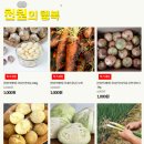 영원한야채 네이버블로그