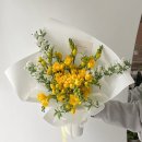 프리지아꽃집