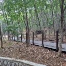 구릉산자락길 이미지