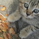 위너스랩 이미지