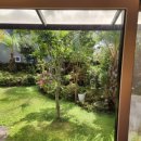 위미쉼팡 이미지