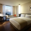 스테이조이 이미지