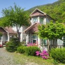 사시사철 당구장 이미지