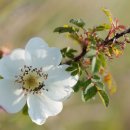 향스토리 이미지