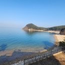 숲속의바다펜션 이미지