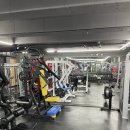 타이거 파라다이스 이미지