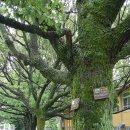 순천공업고등학교 이미지