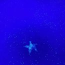 씨유 강풀만화거리점 이미지