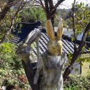 신암마을 이미지