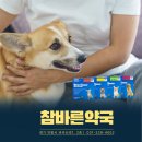 2층바른약국 네이버블로그