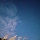 강원도 정선 ﹏민둥산 돌리네…후기 (ft.거북이 쉼터에서 막걸리)