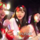 하이하이민 이미지