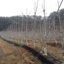 물골농장 이미지