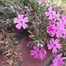 강원지방병무청 이미지