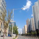 한강메디칼약국 이미지