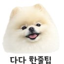 씨유 남양주수레로점 | 남양주 삼패지구 수레국화 | 애견동반 한강 산책코스 추천