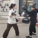 복싱그자체 이미지