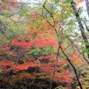 방태천민박 이미지