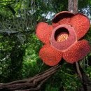 여기산2(동) 이미지