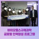 케이앤케이글로벌 이미지