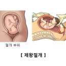 제왕환경 이미지