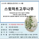 [연속]12.13(금)하반기 북악산 가드닝 식물감성 정규반(호야)_오전10시_성인 6명 대상 이미지