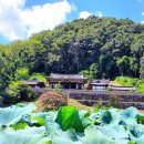 삼봉전자 이미지