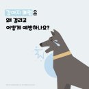 대곡동물병원 이미지