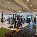 리핏바디짐 이미지