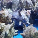 회센타포장전문점 이미지