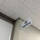 새솔태권도 이미지