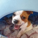 용종농장 이미지