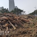장량동 다목적재난구호소 이미지