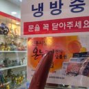 진흥전자 이미지