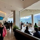 소노펠리체 델피노 이미지