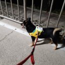 개포동월드 이미지