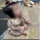 동탄중심상가2길~동탄문화센터로 | 오가닉 자연놀이 시그니처 아이젬 (겨울학기) - 동탄 롯데백화점 문화센터 추천강좌