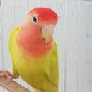 인천조류원 이미지