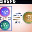 세인과수원