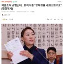 여론조작 공범인데…野지지층 "강혜경을 국회의원으로" [현장에서] 이미지