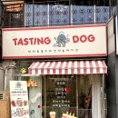 테이스팅독 이미지