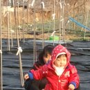 주훈농장 네이버블로그